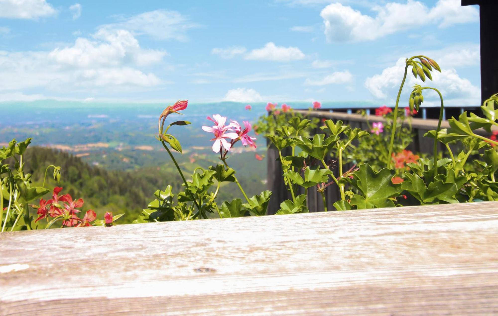 Ferienhaus In Eibiswald Villa Bagian luar foto